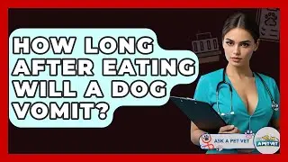 How Long After Eating Will A Dog Vomit? - Ask A Pet Vet