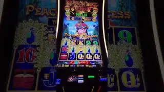 Rarest hit on Dragon Link #casino #lasvegas #slot #casinos #slots #jackpot #viral #trending