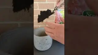Бесконечный глюк Базиля #шорты