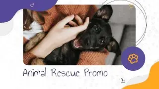 Free &ldquo;Animal Rescue Promo&rdquo; Slideshow Template for SmartSHOW 3D