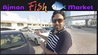 Ajman Fish Market 🐟 | Cheapest Fish Market | UAE 🇦🇪 Fish Market
