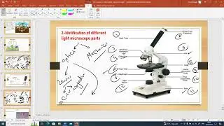 G10    practical work    Second term
