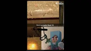 Basically Breeze in book 2 (Diary Of An 8-Bit Warrior)