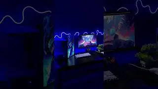 SETUP SATORU BLUE