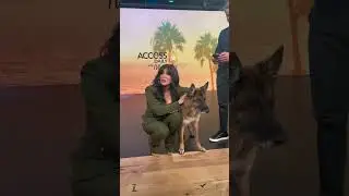 Gunther, the World&rsquo;s Richest Dog!