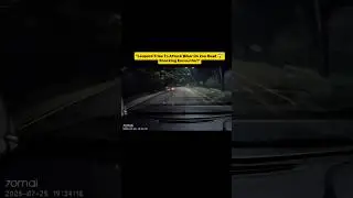 25/07/25 Leopard Spotted on Tirupati Zoo Road Tries to Attack Bike😱🤯 Viral Video#tirumala #tirupati