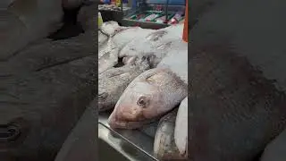 Fresh Fish Price in Auckland 🐠🦈🐟🐡 #FreshFish #fishprices