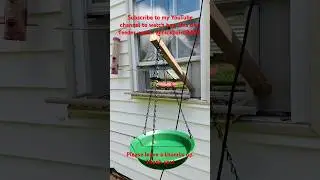Added a bird bath to the window feeder. #birdwatching #birdlovers