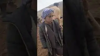 Ferula in Rustaq city: this incident happened in Rustaq city,  Takhar province,  Afghanistan.