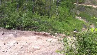 Brimstone 4/25/2011 Scotts Climb