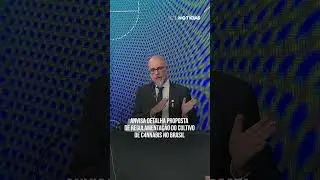 ANVISA detalha a proposta de regulamenta&ccedil;&atilde;o do cultivo de c4nnabis no Brasil.