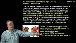 Дубынин В.А. - 100 часов школьной биологии - 2.19. Решение задач.Наследование пола.Сцепление с полом
