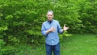 Scott Murphy - Creating Connection and the value of sacred community