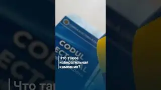 Что такое избирательная кампания?