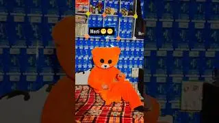 Hohe hohe 😁😁😁 #vipteddy #funny #shortvideo