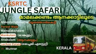 KSRTC JUNGLE SAFARI |Mamalakandam-Anakulam-Mankulam via Munnar |One day Trip |Kerala