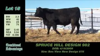 Lot 15: Spruce Hill Design 982