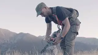 The Pro Hunters Choice - Andorra Hunting Experience