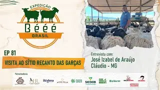 EXPEDIÇÃO BÉÉÉ BRASIL EP 81 - Visita ao Sítio Recanto das Garças
