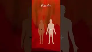 The Polarity of Sex/Gender | Gigi Young
