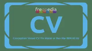 Conception Vessel Meridian CV Yin Water 60 Hz