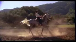 Hot shots motorcycle scene