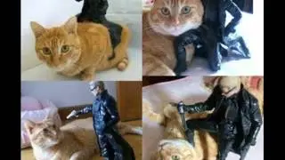 Funny Resident evil pictures and comics Pt.5
