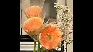 【次元上昇⤴️】進級テストの攻略法🌈
