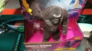 Real feel kong unboxing