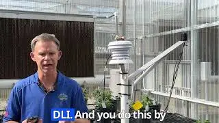 App to Estimate Daily Light Integral from Peak Sunlight at Solar Noon