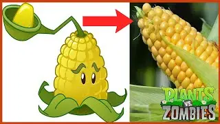 Plants VS Zombies All Characters In Real Life 2021 - Part 2