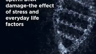 Sperm DNA damage- the effect of stress and everyday life factors