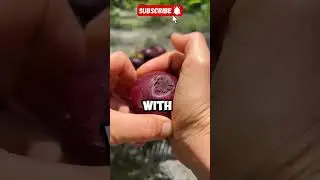 Пять странных, но полезных азиатских фруктов