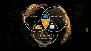 Why Do Bitcoin Only? #bitcoin #BTC #fiat
