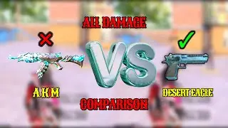 Desert Eagle vs AKM - The ULTIMATE Damage Test