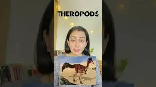 🦖 Birds Are Living Dinosaurs!