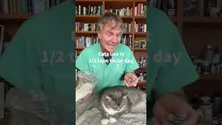 Shredded coconut for Cat Hairballs