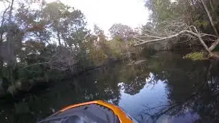 SAINT MARKS RIVER, SAINT MARKS, FLORIDA