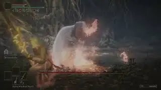 Elden Ring [Malenia No Hit Dexterity build with Treespear]
