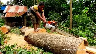 Woodworking Cutting Machines Sound Effect! STIHL Chainsaw Working With Cutting Skills 2022