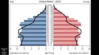 Demographic Indicators and Population Pyramids:  USA