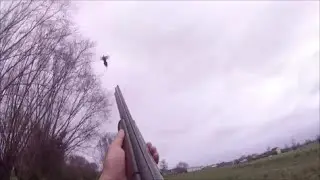 Compilation de fin de saison de chasse aux faisans, perdrix, avec mes &eacute;pagneuls breton. HD