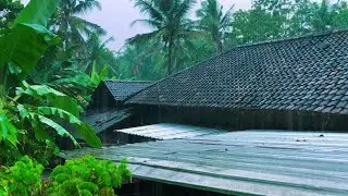 Heavy Rain Sounds for Sleep 💤 | 10 Hours Rain Ambience to Relax & Fall Asleep