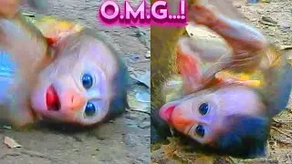 True Consequence Of Wrong Technical Playing For Adorable Baby, Draya...! Primate Kh