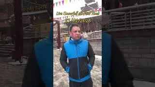 ❄️ Live Snowfall in Main Manali Today | 23 January 2026 Weather Update ❄️ #shorts #snowfallupdate