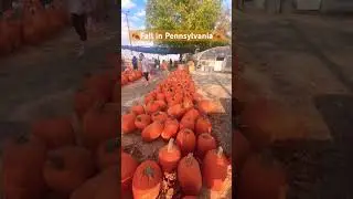 Here are Some Top Destinations to Watch Fall Foliage in Pennsylvania!😍🍂 #pennsylvania #fall