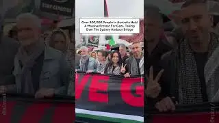 Over 300,000 People In Australia Held A Huge Protest For Gaza, Taking Over The Sydney Harbour Bridge