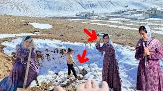 Can the nomadic woman successfully complete the mountain hut with the help of the operator?