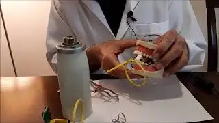 lower Posterior Teeth\ Parallel Technique