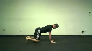 Quadruped Leg Lift - A functional exercise to strengthen your core